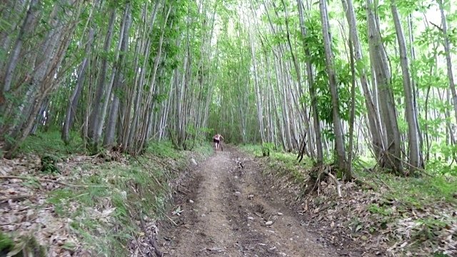 Rando \"A l\'assaut des crêtes et des Chambarans\" à Brezins