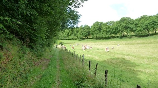 Rando \"A l\'assaut des crêtes et des Chambarans\" à Brezins