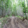 Rando \"A l\'assaut des crêtes et des Chambarans\" à Brezins