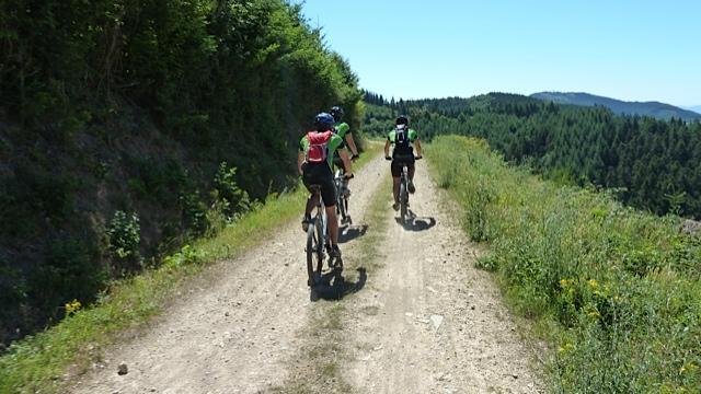 La Trace Verte à Arnas