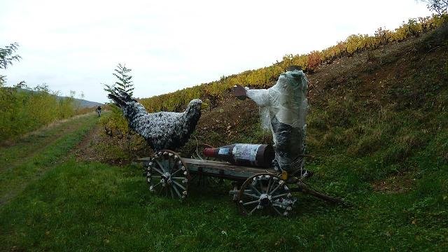 La Transbeaujolaise au Pérreon 2011