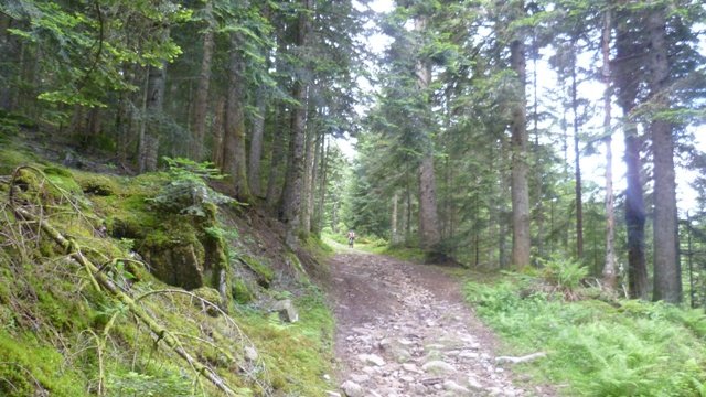 Week-end club 2012, samedi