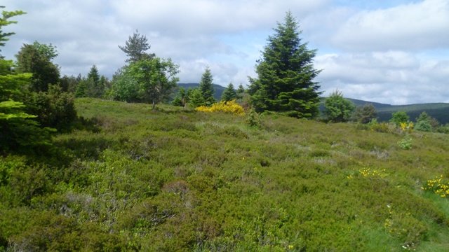 Week-end club 2012, samedi