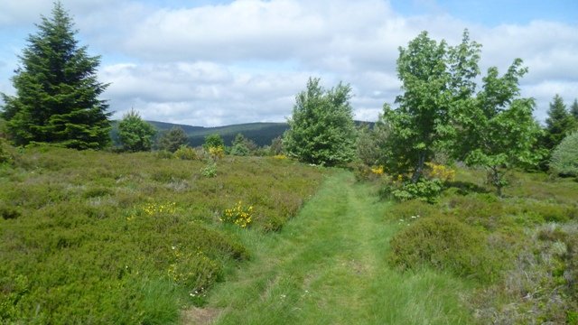 Week-end club 2012, samedi