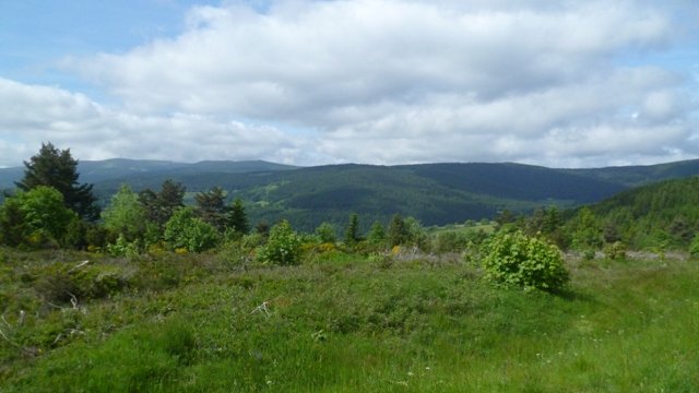 Week-end club 2012, samedi