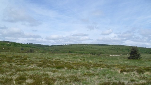 Week-end club 2012, samedi