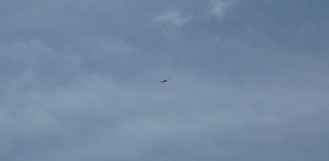 Week-end club 2012, samedi