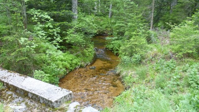 Week-end club 2012, samedi