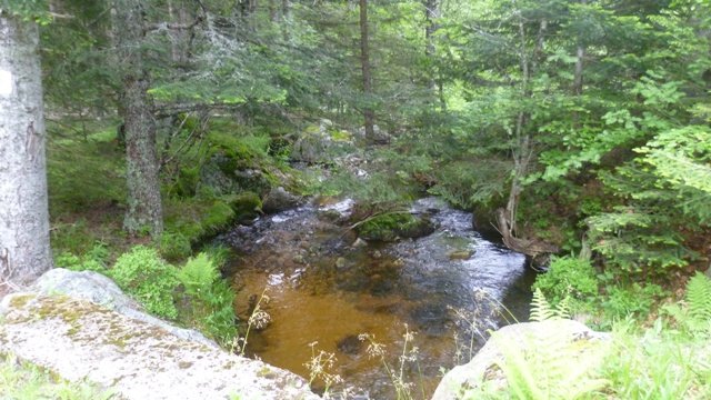 Week-end club 2012, samedi