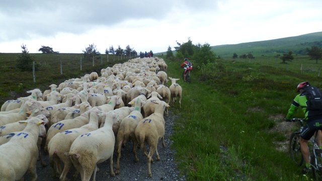 Week-end club 2012, samedi