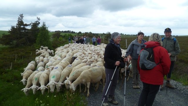 Week-end club 2012, samedi