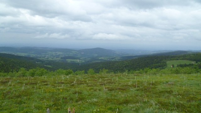 Week-end club 2012, samedi