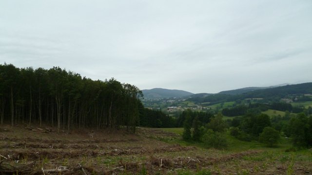 Week-end club 2012, dimanche