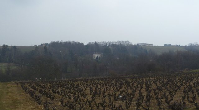 1ères pédalées Villefranche samedi 23 février