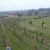 1ères pédalées Villefranche samedi 23 février