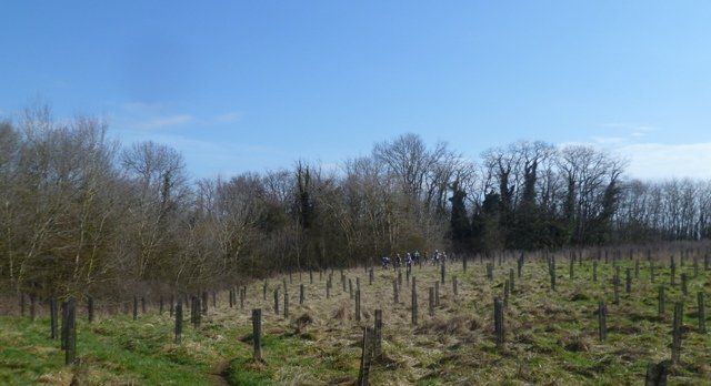 rando de Miribel le dimanche 10 mars 2013