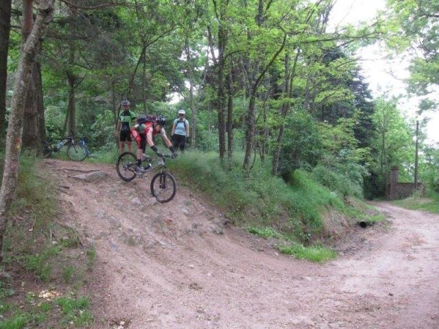 Ecole - séance du samedi 22 juin dans les Monts du Lyonnais