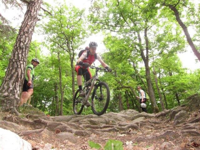 Ecole - séance du samedi 22 juin dans les Monts du Lyonnais