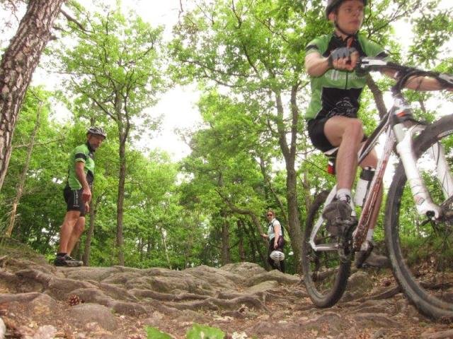 Ecole - séance du samedi 22 juin dans les Monts du Lyonnais