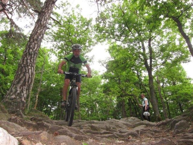 Ecole - séance du samedi 22 juin dans les Monts du Lyonnais