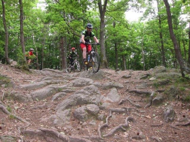 Ecole - séance du samedi 22 juin dans les Monts du Lyonnais