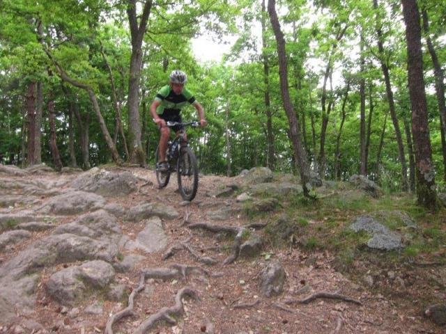 Ecole - séance du samedi 22 juin dans les Monts du Lyonnais