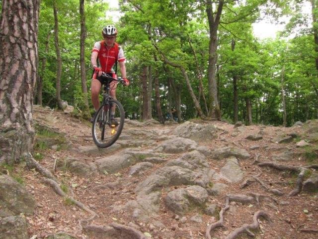 Ecole - séance du samedi 22 juin dans les Monts du Lyonnais