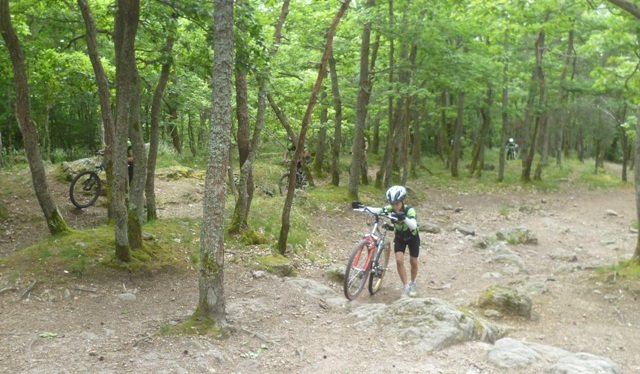 Ecole - séance du samedi 22 juin dans les Monts du Lyonnais