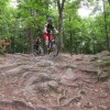 Ecole - séance du samedi 22 juin dans les Monts du Lyonnais