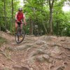 Ecole - séance du samedi 22 juin dans les Monts du Lyonnais