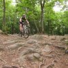 Ecole - séance du samedi 22 juin dans les Monts du Lyonnais