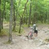 Ecole - séance du samedi 22 juin dans les Monts du Lyonnais