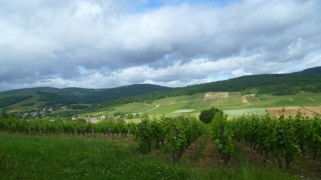 Randonnée VTT La Panoramique à Péronne le 23 juin 2013