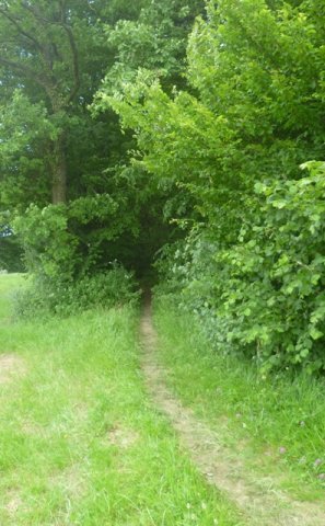 Randonnée VTT La Panoramique à Péronne le 23 juin 2013