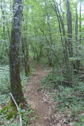 Randonnée VTT La Panoramique à Péronne le 23 juin 2013