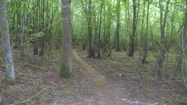 Randonnée VTT La Panoramique à Péronne le 23 juin 2013