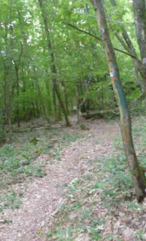 Randonnée VTT La Panoramique à Péronne le 23 juin 2013