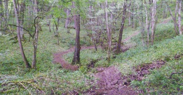 Randonnée VTT La Panoramique à Péronne le 23 juin 2013