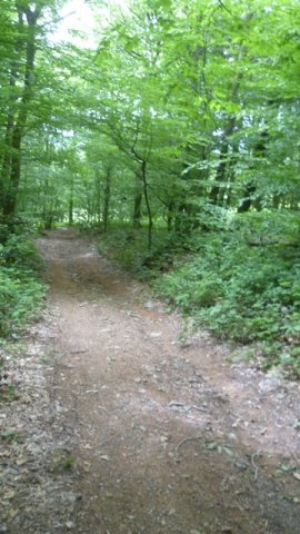 Randonnée VTT La Panoramique à Péronne le 23 juin 2013