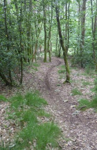 Randonnée VTT La Panoramique à Péronne le 23 juin 2013