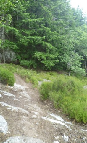 Randonnée VTT La Panoramique à Péronne le 23 juin 2013