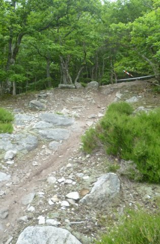 Randonnée VTT La Panoramique à Péronne le 23 juin 2013