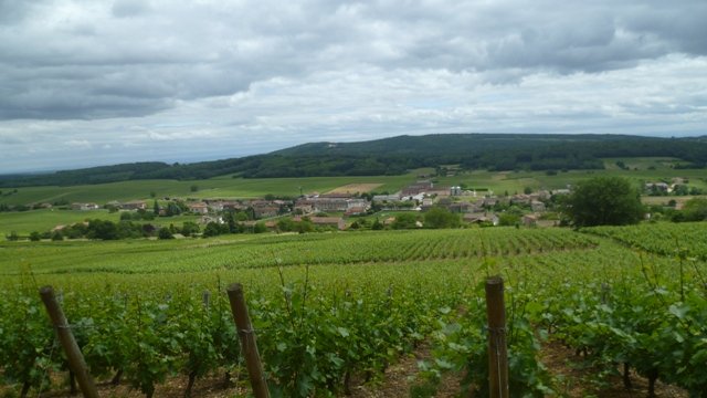 Randonnée VTT La Panoramique à Péronne le 23 juin 2013