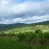 Randonnée VTT La Panoramique à Péronne le 23 juin 2013