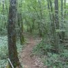 Randonnée VTT La Panoramique à Péronne le 23 juin 2013