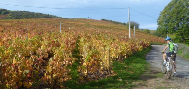 La Transbeaujolaise le dimanche 27 octobre 2013