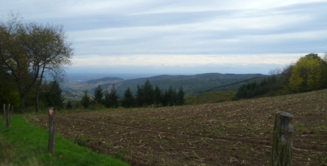 La Transbeaujolaise le dimanche 27 octobre 2013