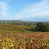 La Transbeaujolaise le dimanche 27 octobre 2013