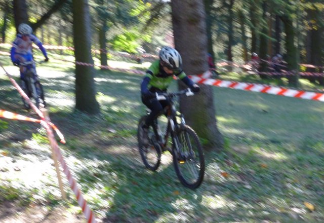 Lundi 11 novembre 2013 - Ecole - cyclo-cross de Parilly