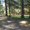 Lundi 11 novembre 2013 - Ecole - cyclo-cross de Parilly